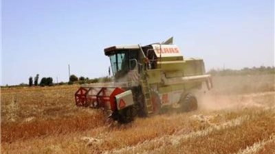  محافظ أسوان: توريد 102 ألف طن من القمح حتى الآن 