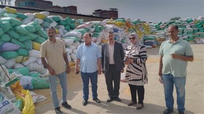 توريد 76 ألف طن قمح إلى شون محافظة الغربية