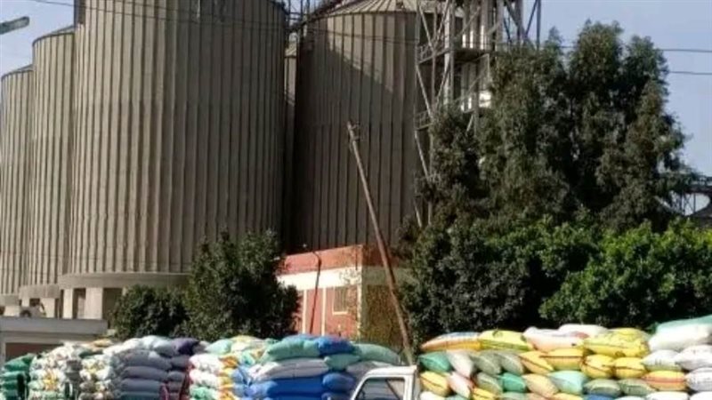 توريد القمح