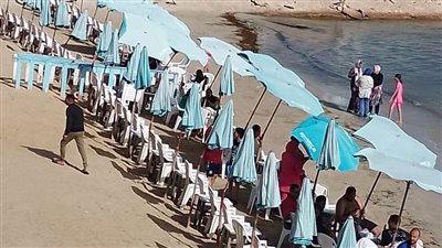 تعرف على خربطة احتفالات محافظة الإسكندرية غدًا بعيد الربيع