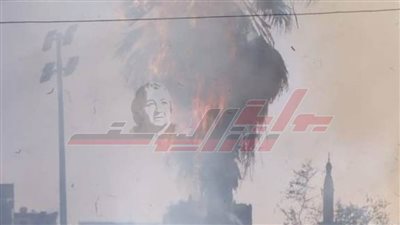 دون إصابات.. السيطرة على حريق شب في أشجار بجوار مدرسة بالمنيا