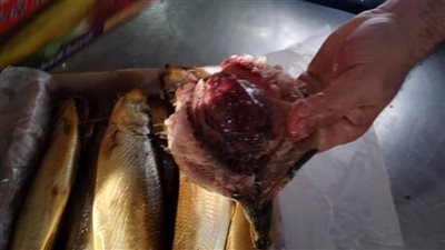 طب بيطري الغربية يرصد مخالفات في الأسواق