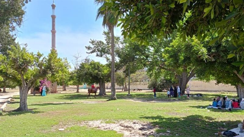 تجهيز حدائق ادفينا