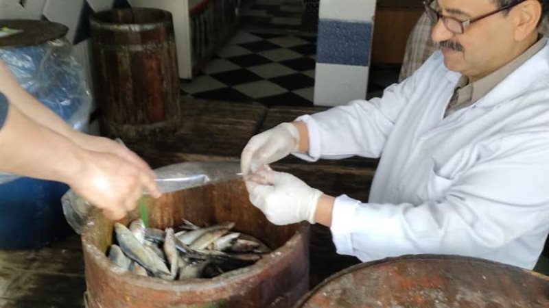 جانب من الحملة