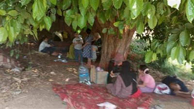 رنجة وسردين تحت أشجار التوت.. هكذا يحتفل المنايفة بشم النسيم