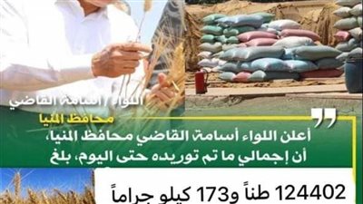 شون وصوامع المنيا تستقبل 124 ألف طن من محصول القمح
