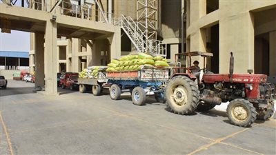 محافظ أسيوط يعلن حصاد 103 آلاف فدان قمح وتوريد 63 ألف طن للشون والصوامع 