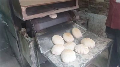 تموين الإسكندرية