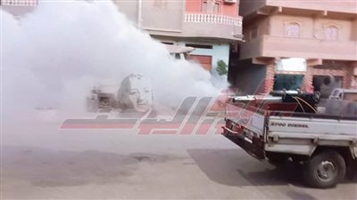 رش صناديق القمامة ومحطات الصرف لمكافحة البعوض بكفر الشيخ