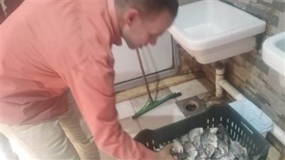   صحة أسوان مرور أعياد القيامة وشم النسيم دون أزمات أو حالات تسمم