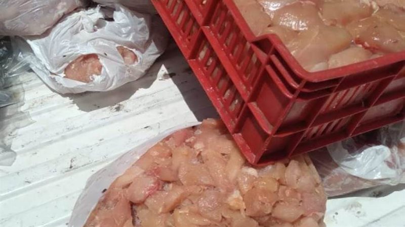 ضبط لحوم وأسماك غير