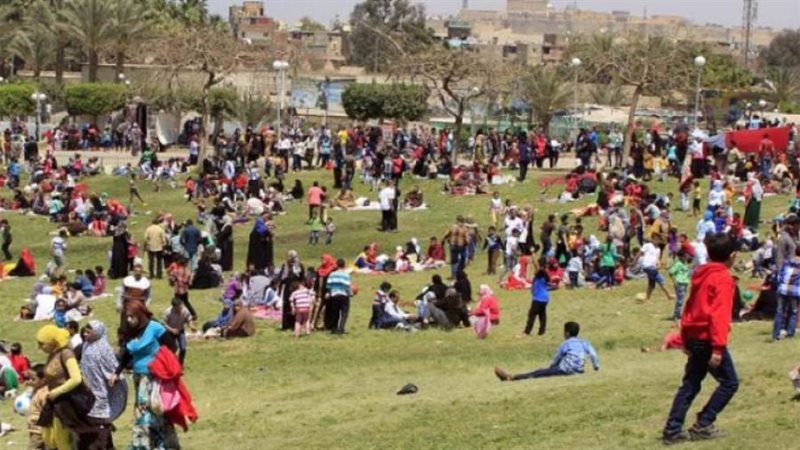 بوابة روز اليوسف