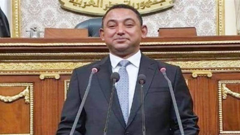 النائب الدكتور ناصر