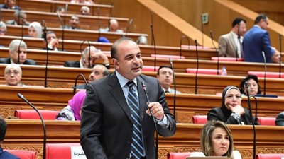 نائب وزيرة التخطيط والتنمية الاقتصادية للنواب: قواعد صارمة للاقتراض الخارجي