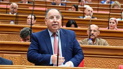 عاجل.. وزير المالية: حققنا فائضًا أوليًا ١,٦٪ من الناتج المحلى الإجمالي.. والعجز الكلى تراجع إلى ٦٪  