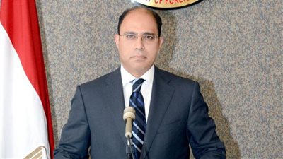 الخارجية المصرية تعرب عن تعازيها في ضحايا فيضانات ولاية 