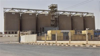 محافظ أسيوط: توريد 77946 طنا للشون والصوامع وحصاد 127 ألف فدان قمح