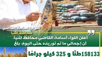 شون وصوامع المنيا تستقبل 158 ألف طن من محصول القمح