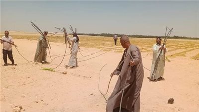 استرداد 5 أفدنة بالظهير الصحراوى وإزالة 112 حالة تعد على الأرض الزراعية خلال حملات مكثفة بالمنيا