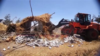 الموجة الـ 22 تزيل 10 حلات تعدٍ بكفر الشيخ