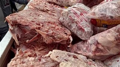 ضبط لحوم وأسماك فاسدة ومخالفات بالمخابز في حملات بالشرقية والدقهلية