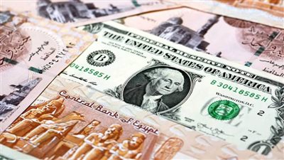 عاجل| الصرافة الحكومية تكشف حصيلة التنازل عن النقد الأجنبي منذ تحرير سعر الصرف