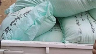 قبل تهريبه وبيعه بالسوق السوداء.. ضبط طن دقيق بلدي مدعم بالشرقية