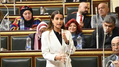 خارجية النواب: حصول فلسطين على عضوية الأمم المتحدة كلمة حق من المجتمع الدولي تجاه الفلسطينيين