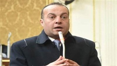 طاقة النواب: عضوية فلسطين بالأمم المتحدة خطوة لتعزيز العدالة وتحقيق السلام بالمنطقة