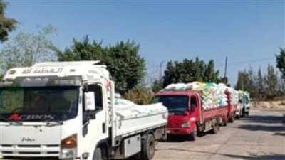 استقبال 522509 أطنان بمراكز تجميع القمح بالشرقية