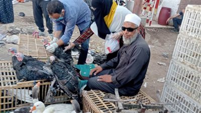 بيطري المنيا حملات مكثفة للتقصي الوبائي النشط والتوعية بالأمراض المعدية