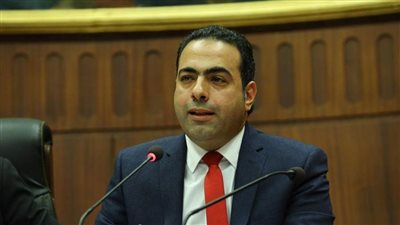 شباب المصريين بالخارج: مصر تبذل جهودًا كبيرة لوقف إطلاق النار في غزة