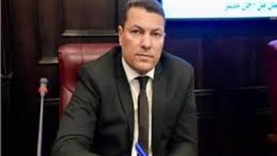 قيادي بمستقبل وطن: تصويت الأمم المتحدة لعضوية فلسطين انتصار للقضية وورقة ضغط على الاحتلال