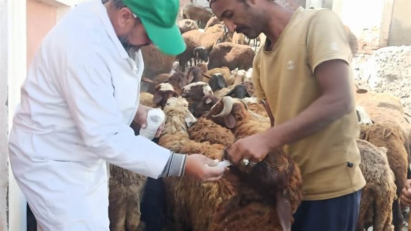 جانب من فعاليات القافلة