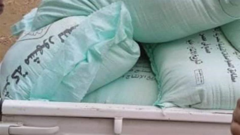 ضبط دقيق مدعم