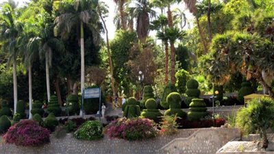 الحديقة النباتية بأسوان تاريخ عريق يمتد لأكثر من 130 عامًا