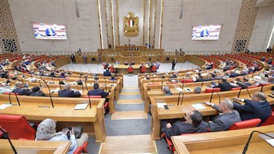 ترحيب برلماني بالتدخل المصري لدعوى جنوب إفريقيا ضد إسرائيل