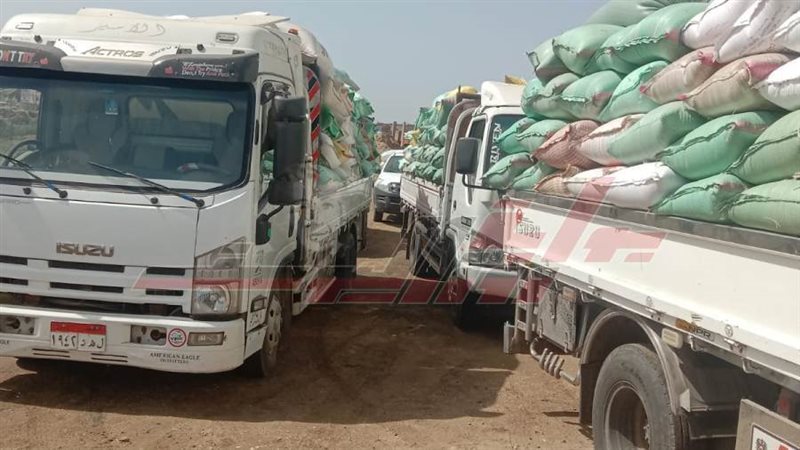 توريد القمح