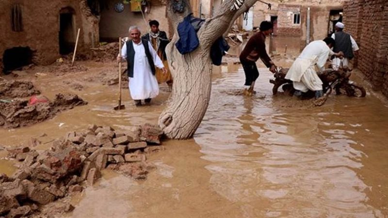 ارتفاع حصيلة قتلي