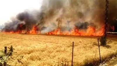 عامل يشعل النار في أرض زراعية ملك جاره في المنيا