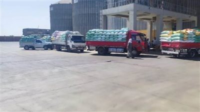 توريد 551962 طن قمح للصوامع والشون بالشرقية