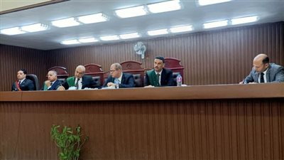 إحالة المتهم بقتل جاره في شبرا الخيمة للمفتي