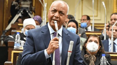 بكري: اتحاد القبائل العربية لا يتجاوز الدستور ويعد سندًا وظهيرًا لمؤسسات الدولة