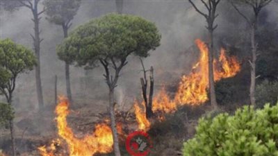 حرائق الغابات في كندا تجبر الآلاف على الإجلاء