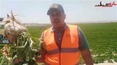 مشروع مستقبل مصر وفر الآلاف من فرص العمل