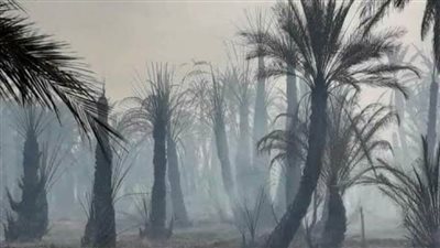 الحماية المدنية بالوادي الجديد تحاول السيطرة على حريق مزارع الملاحة