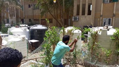 تنفيذ إزالة فورية بحي جنوب الغردقة (صور)