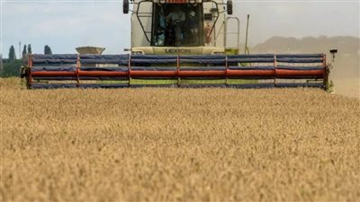 استمرار المفاوضات بين وارسو وكييف بشأن القضايا الزراعية