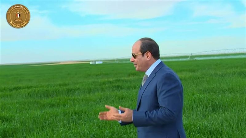 جانب من فيلم تسجيلي