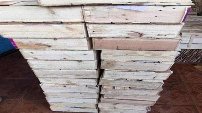 حملات الطب البيطرى